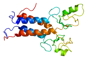 Photo Taken by EMW http://en.wikipedia.org/wiki/File:Protein_BRCA1_PDB_1jm7.png