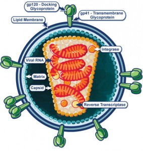 hiv