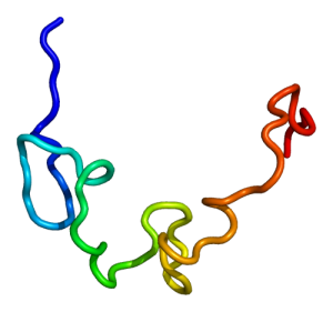 Photo taken by EMW http://en.wikipedia.org/wiki/File:Protein_LIN28_PDB_2cqf.png