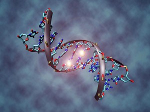 640px-DNA_methylation