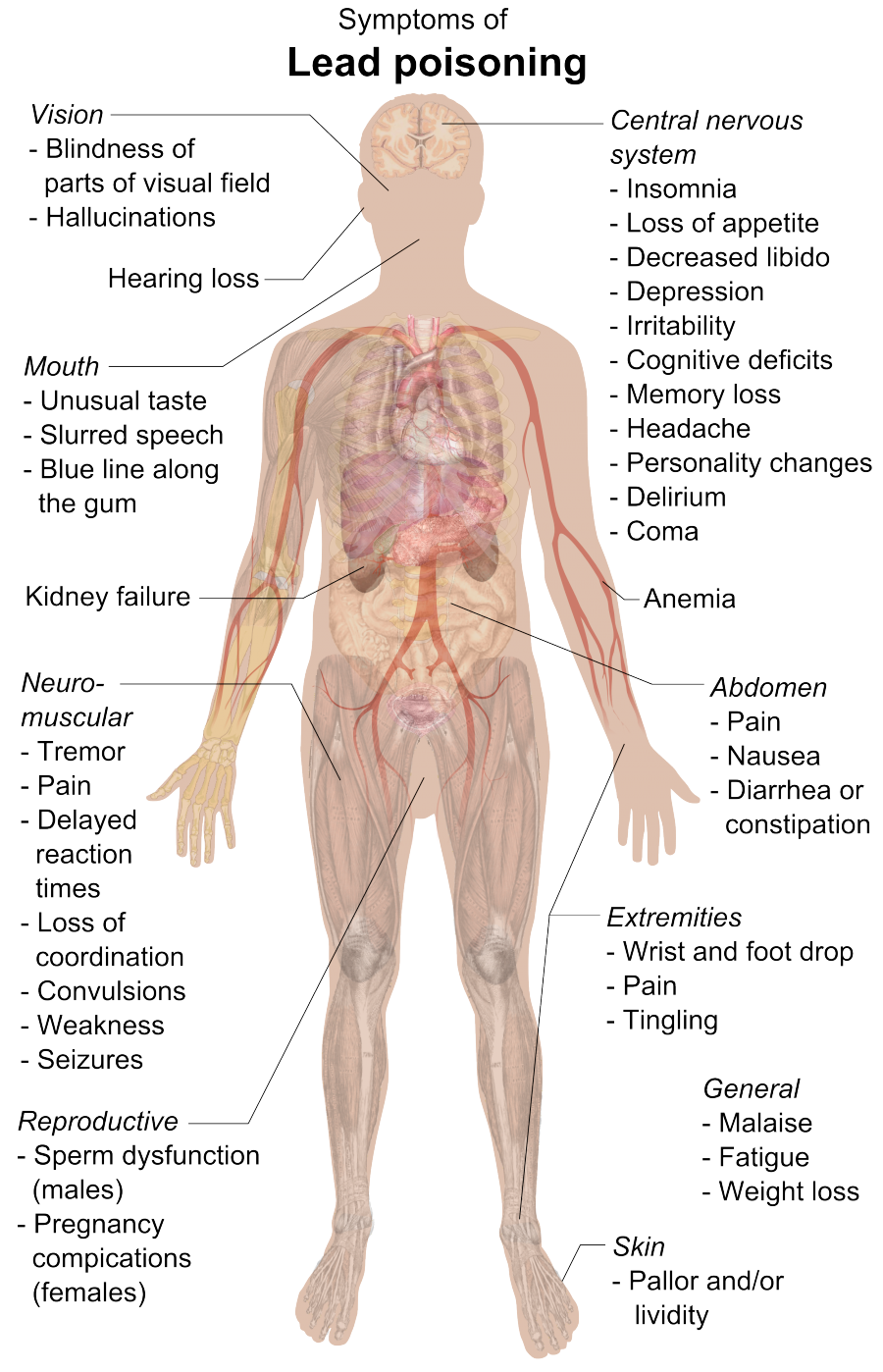 lead-leads-to-neurotoxitity-bioquakes