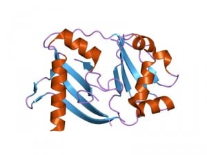 PDB_1wj9_EBI