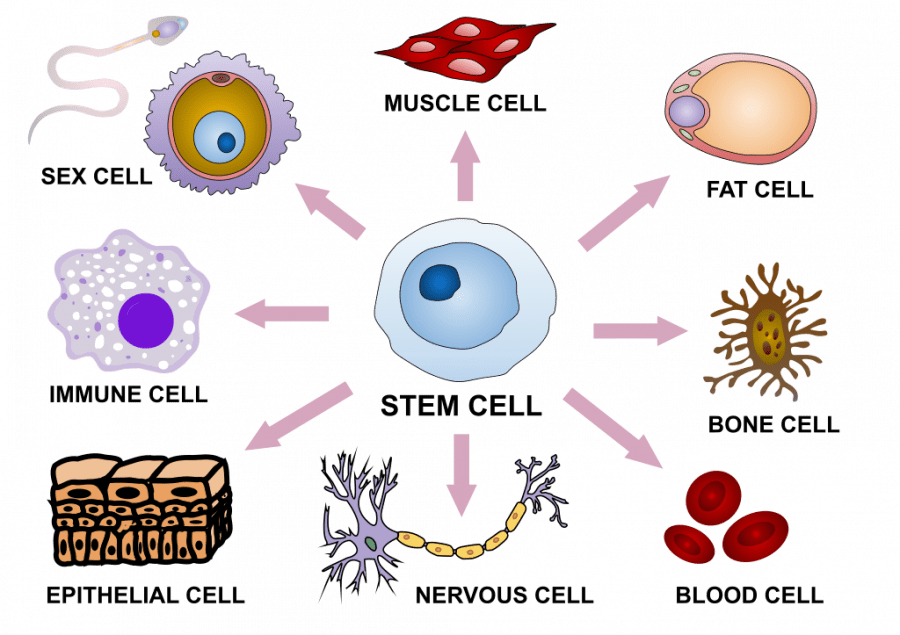 the-cell-superhero-bioquakes